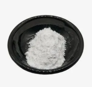 প্রেডনিসোলন